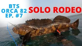 ORCA 82 EP. #7