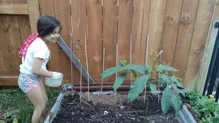 Happiness is growing your own food! | Capturing Digital Stories | CDS