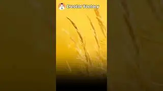 Soft Wind Ambience Sound Effect