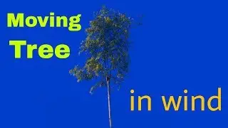 green screen moving tree effects free footage