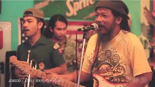 Jungle Root - Job2do live@Eat More Fruit