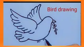 How to draw a Flying bird (Dove) step by step// Easy Flying bird for bigners 
