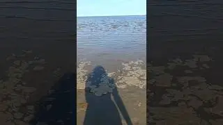 Sandymount beach during low tide🌊#ireland #beach #youtubeshorts #shortsvideo #lowtide #shorts