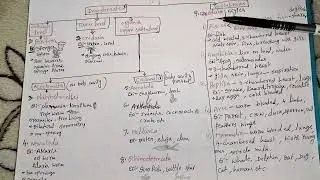How to draw a mind map of animal kingdom #bookofscience #9thbiology