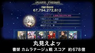 【アナザーエデン】ステロペスの書 challenge スコア約677億  編成ボーナス無