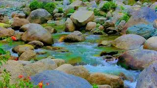Amazing Nature Relaxation Video | Mountain River Sound For Study, Focus, & sleep | Nature Relaxation