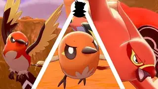 【Pokemon Camp】Talonflame・Fletchinder・Fletchling＆Shiny Cute vs