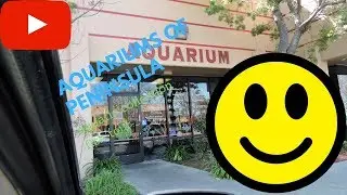 Visiting Fish Store: Aquatic Collection