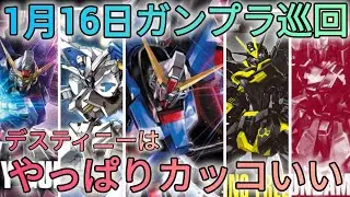 デスティニー推しは歓喜せよ!!　#ガンプラ巡回　#デスティニーガンダム　#seed