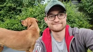 Truffle Dog Training | How To Indicate On A Scent | Learning The Basics