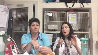 Anesthesia Monitoring