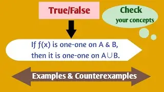 True/False in Calculus| Counterexamples in Analysis| Definition of function|vid-4