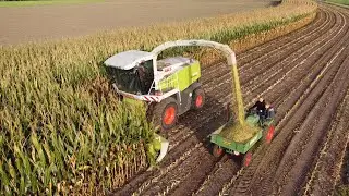 Chopping corn Fendt GT