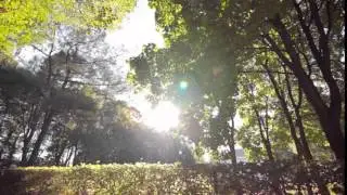 autumn 15- film footage, free download, free stock, clips, video effects