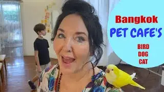 Bangkok Pet Cafes to brighten your day!