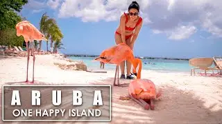 Visit Aruba | One Happy Island 🏝️ | The Official Video