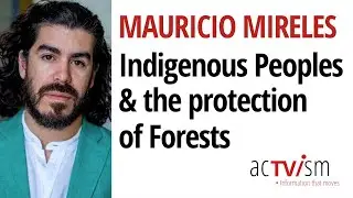 Why We Need Indigenous Peoples to Save Our Forests