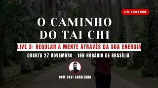 O Caminho do Tai Chi: Regular a Mente através da sua Energia