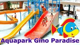 Gino Paradise Water Park in Tbilisi -  аквапарк в Тбилиси
