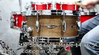 Tama Star Solid Curly Maple 1465