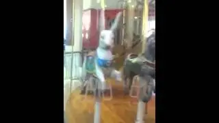 Sophie & Rose riding the carousel together