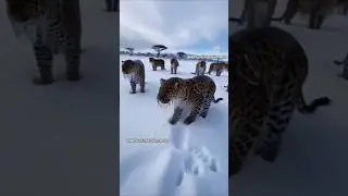 #animals #trending #shorts #video #adventure #pets #viral #facts #fun #new #song #love #status #ai
