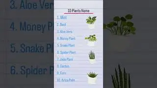 10 Plants Name | Plants name | Plants Name in English | Plant Name | Ornamental Plants #plantsname