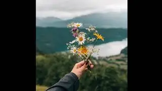 [FREE FOR PROFIT] Guitar Pop Type Beat 