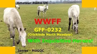 WWFF With Horses! Cricklade North Meadow Revisited