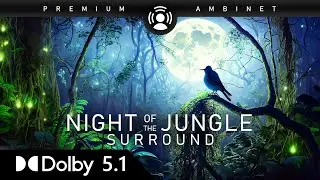 5.1 Night Jungle Sounds Dolby Pro Logic II, SDDS Surround audio demo