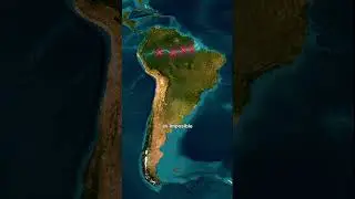 &iquest;Por qu&eacute; NO hay puentes sobre el Amazonas?