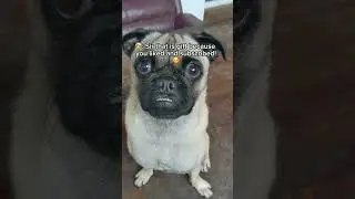 Ai voice is SUPER intelligent now 🤯🤩