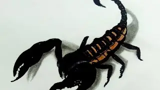 How to draw 3D Scorpion/3D Scorpion drawing /Easy3D art of scorpion
