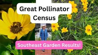 Did My Bloom Strategy Work?  Pollinator Garden Results