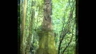 Arnos Vale Cemetery, Bristol