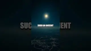 The Enigma of the Nazca Lines