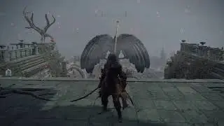 Testing a bleed/blood build on a mini boss?