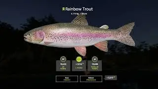 Russian Fishing 4 2023 11 26  kuori rainbow trout