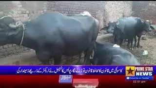 Law enforcers break law in Kamonki, police constable traps landlord's soil with tractor