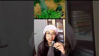 The scariest thing in Bird Box is what you NEVER see| Bird Box(2018)