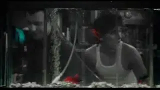Rumble Fish [Motorcycle Boy explaining 'Rumble Fish']