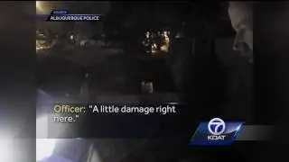 Rodney Locke arrest lapel video