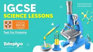 IGCSE Revision - Test For Proteins | Test for Vitamins | Plant mineral Deficiency | IBDP Biology