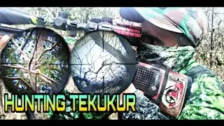 HUNTING TEKUKUR BARENG UKLIK SHARP TIGER LONG TRUGLO FULL UPGRADE