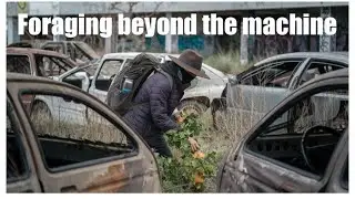 Foraging Beyond The Machine