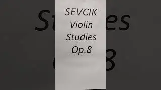 Sevcik Violin Studies Op.8 No.43