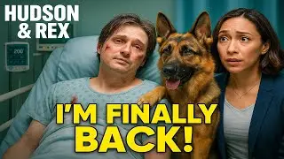 Fans in Tears as Diesel&rsquo;s Fate is Exposed! Hudson & Rex Season&nbsp;8&nbsp;Update