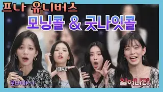 프로미스나인 유니버스 X 한밤 휴방위 - 📞모닝콜 & 굿나잇콜 (9 WAY TICKET + TALK & TALK)