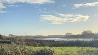 Morning Walking at Marton Mere Local Nature Reserve Blackpool