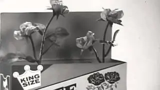 P&G - Ivory Snow - Free Plastic Flowers - Vintage Commercial - 1950s - 1960s